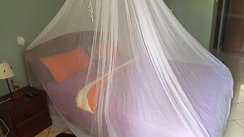 Phenicia Motel