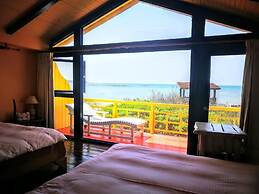 23.5 Blue B & B