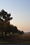 Villa Sandby Bed and Breakfast