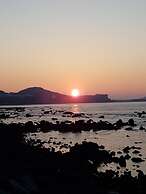 Jeju Amoje