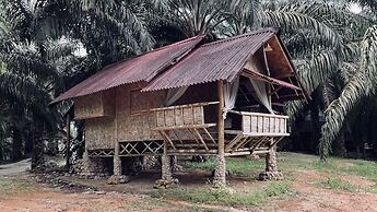 Sahom Valley Resort - Agro & Eco