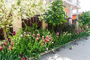 Hotel Natali