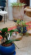 Riad Chams Marrakech