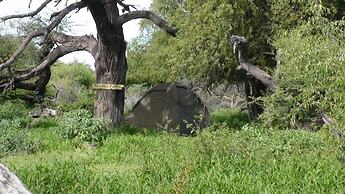 Matsaodi Campsite