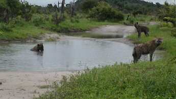 Matsaodi Campsite