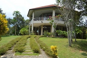 Tanah Aina Farouq