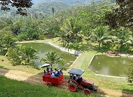 Tanah Aina Farouq