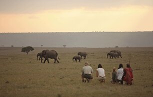 Elewana Elephant Pepper Camp