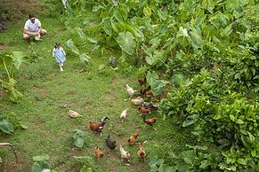 Quinta do Martelo