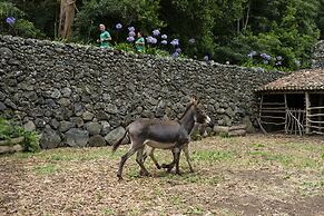 Quinta do Martelo