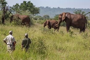 Elewana Tarangire Treetops