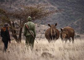 Elewana Lewa Safari Camp