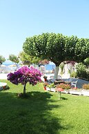 Pansion Akrogiali