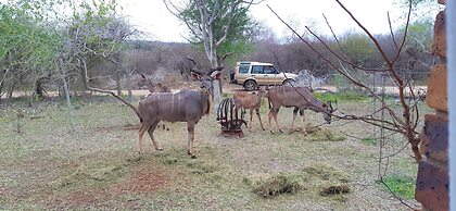 Kruger Riverside Lodge