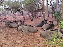 Kruger Riverside Lodge