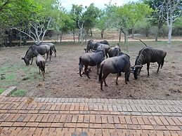 Kruger Riverside Lodge