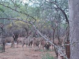 Kruger Riverside Lodge