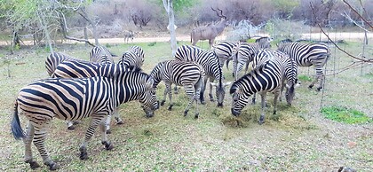 Kruger Riverside Lodge