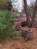 Kruger Riverside Lodge