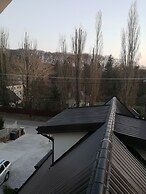 Apart & Wellness Hotel VILLA IVICA