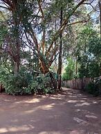 Rosslyn Studios