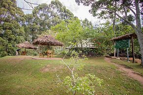 Bushara Island Camp