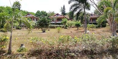 Freedom Estate