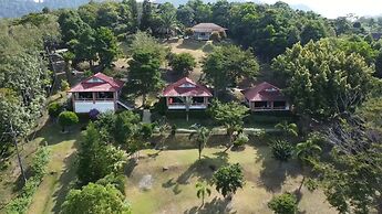 Freedom Estate