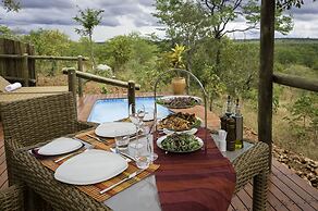 The Elephant Camp
