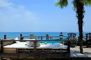 Pavilion Surf