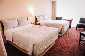 Hotel Real Plaza Aguascalientes