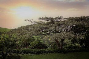 A Kings View
