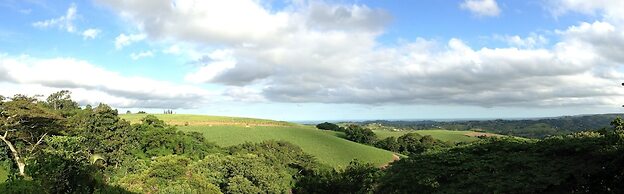 A Kings View