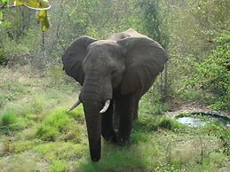 Muweti Bush Lodge