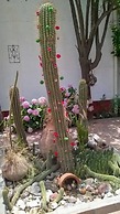 Hostal Tierra de Vinos