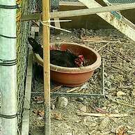 SNAIL B&B