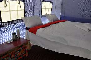 The Ladakh Camp