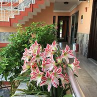 Hotel Paradise