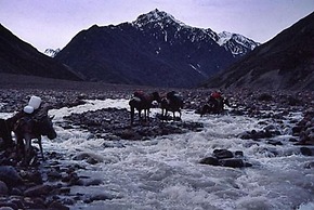 Mulkila Adventures - Campsite