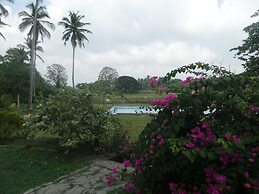 CoCoWorld Bungalow
