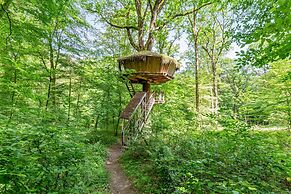 L'Arbre à Cabane