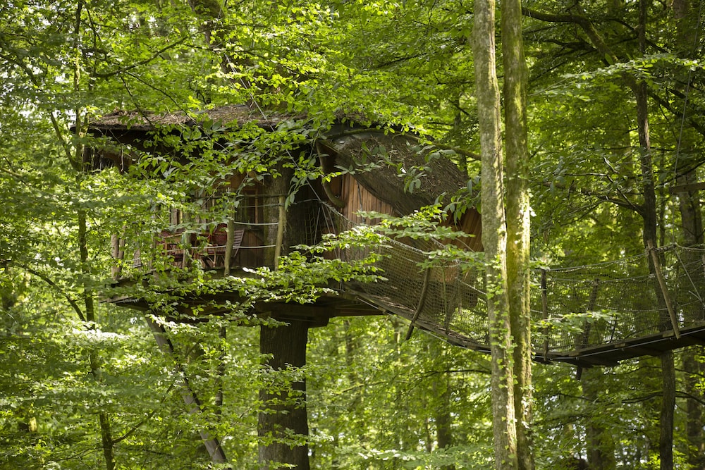L'Arbre à Cabane