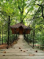 L'Arbre à Cabane