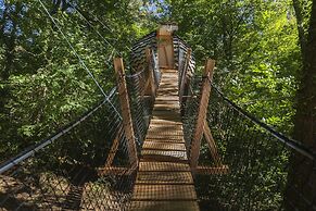 L'Arbre à Cabane