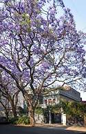 Ignacia Guest House