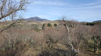 Agriturismo Bio I Rondinelli