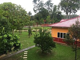 Happy Paradise