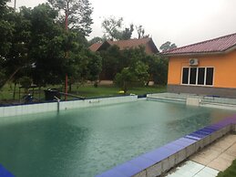 Happy Paradise