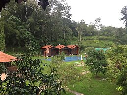 Happy Paradise