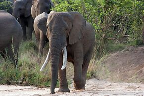 Karongwe - Becks Safari Lodge